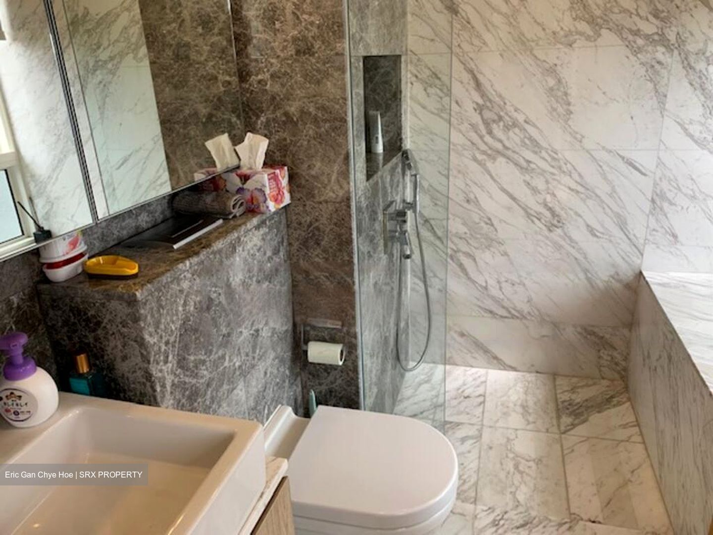 The Peak @ Cairnhill II (D9), Apartment #504162461